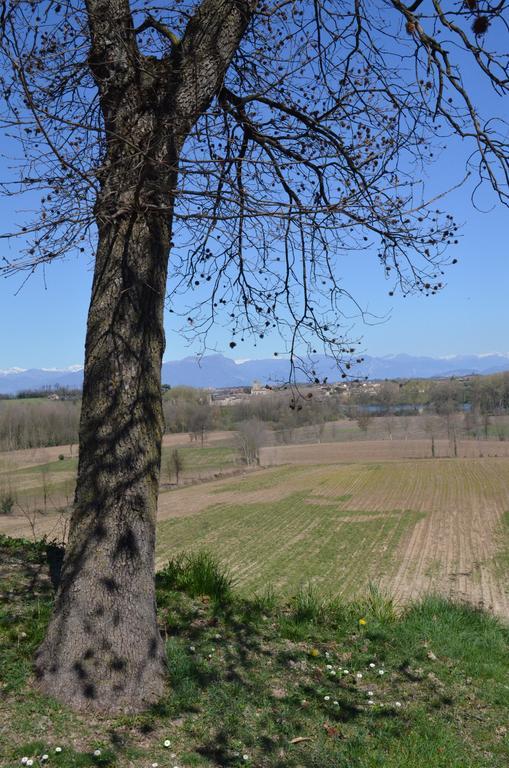 Agriturismo Dondino Cavriana Buitenkant foto