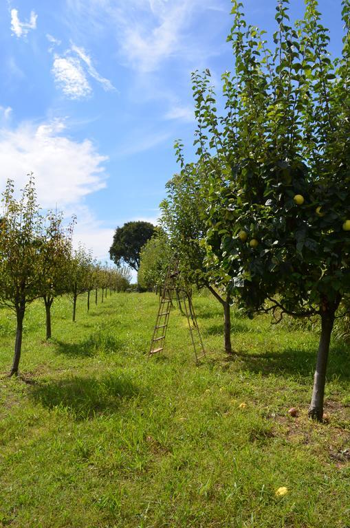 Agriturismo Dondino Cavriana Buitenkant foto